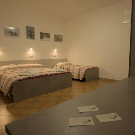 Pensión Con Mario E Almerina